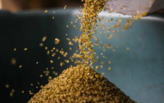 Separating the Grain from the Chaff